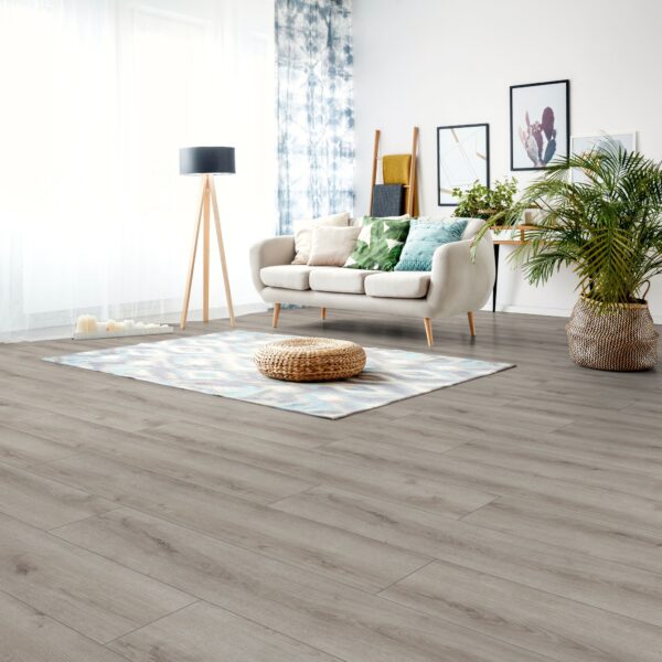 Budgetline Zomer eik lichtgrijs 904 laminaat