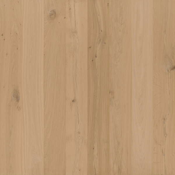 Budget-Line Tulp Invisible Olie Parket