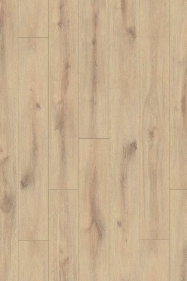 Hebeta Organic Clever Organic Oak 6ORK063